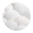 Plakat Shells