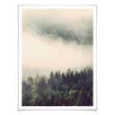 Póster Niebla en el bosque 02