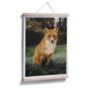 Póster fox 01