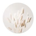 Plakat 1X Studio - Dried Grass