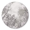 Tableau en verre Cimes des arbes dans le ciel - Rond