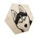Zeshoekige houten foto Siberische husky - hondenportret - Korenkova