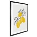 Póster Blursbyai - Ilustración de una rama de limón
