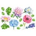 Sticker mural XXL - Variété colorée de fleurs - Set