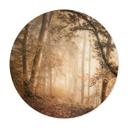 Póster Bosque en la niebla matinal - Maier - Redondo