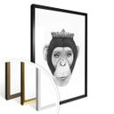 Plakat - Korenkova - The Queen Monkey