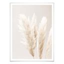 Plakat - 1X Studio - Pampas