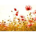 Grøn og pink non-woven tapet Designwalls FlowerMeadow natur valmuer