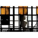 Livingwalls Fototapet Walls by Patel 2 Bronx 2