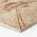 Hexagon Hout Windy Grass