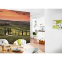 non-woven tapet Designwalls i grøn og orange Toscana Toscana landskab