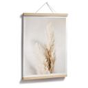 Póster 1X Estudio - Hierba de la pampa atada