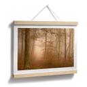 Póster Niebla y luz en el bosque otoñal - Maier