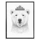 Plakat - Korenkova - Queen Bear
