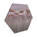 Zeshoek Wanddecoratie lotusbloemen met zwaan in water in schemerroze - Ms Tiff - Alu-Dibond