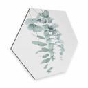 Hexagon - Alu-Dibond - Sisi & Seb - Eukalyptus: flere grene