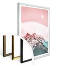 Plakat - Pink Moon