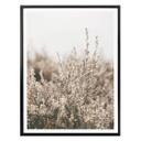 Plakat - Annie - Grass