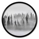 Plakat Xu - Foggy Forest