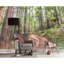 non-woven tapet Designwalls i brun og grøn non-woven tapet ForestWalk natur træ