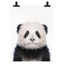 Póster Sisi & Seb - Panda bebé