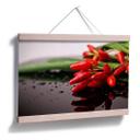 Poster - Piments exotiques