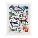 Póster Marrón - Fauna marina