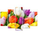 5 stykke lærredsprint farverige tulipaner blomster