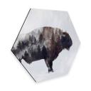 Hexagon - Alu-Dibond - Beáta - The Bison