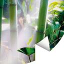Fototapet - Rundt Bamboo Forest - vliesetapet/selvklæbende non-woven tapet