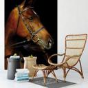 Fototapet - Hest