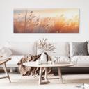 Billede af klitgræs i aftensolen - Treechild panorama – print på aluminium