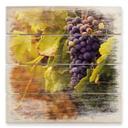 Cuadro de madera Vid toscana - 40x41,5 cm