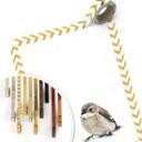 Poster Little Bird