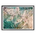 Plakat - Delgado - Glittery Dandelions