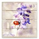 Cuadro de madera Little Friend - 40x41,5 cm