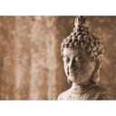 non-woven tapet AsianCulture Buddha fototapet Designwalls i brun og grå 