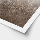 Poster Pampagras en grassen in beige - Ms Tiff