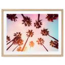 Póster de naturaleza California Dreaming con vista de palmeras - Hugonnard
