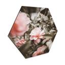 Hexagone - Alu-Dibond Annie - Roses
