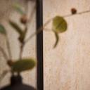 Ikke-vævet tapet i gipslook sandbeige - moderne mat tapet i betonlook 