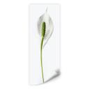 Muurprint Peace Lily