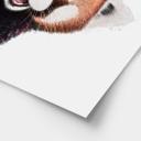 Plakat Red Panda - Korenkova