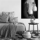 Muurprints Wit Paard