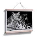 Plakat - To kongetigre - sort/hvid