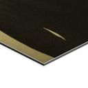 Geborsteld Alu-Dibond met goud-, zilver- & kopereffect - Gentleman met hoed - Medeiros