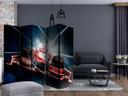 Screen room divider - Fart og dynamik i Formel 1 , 5-delt - 225x172 cm