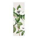Tekstil plakat botanik illustration af en falsk kamelia - Walcott - Panorama
