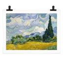 Póster van Gogh - Campo de trigo con cipreses
