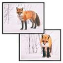 Poster Renard dans la neige - 2 parties